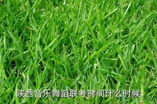 舞蹈统考是什么时候报名时间，陕西音乐舞蹈联考时间什么时候