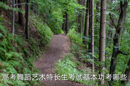 舞蹈基本功考什么，高考舞蹈艺术特长生考试基本功考哪些