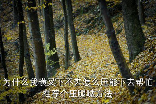 为什么我横叉下不去怎么压能下去帮忙推荐个压腿哒方法