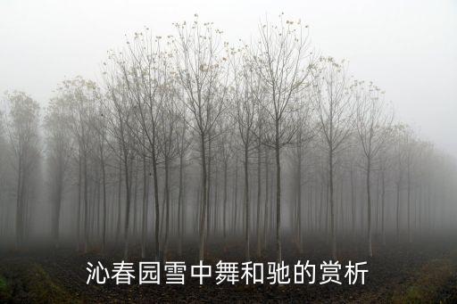 舞蹈雪沁表现的是什么，畅舞雪姬这个词的含义是什么