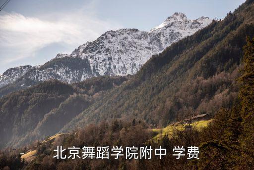 舞蹈学校高中学费两万二，学舞蹈的高中学费是否比一般高中贵