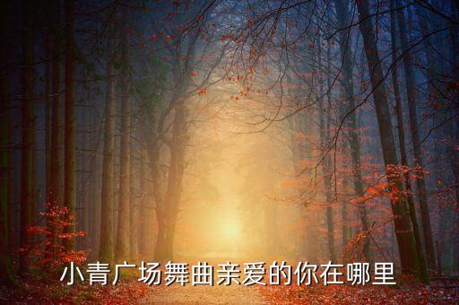 小青广场舞曲亲爱的你在哪里