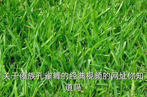 关于傣族孔雀舞的经典视频的网址你知道吗