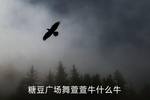 你牛什么牛小可乐嗯嗯广场舞，广场舞你牛甚么牛mp3