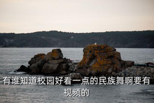 有谁知道校园好看一点的民族舞啊要有视频的