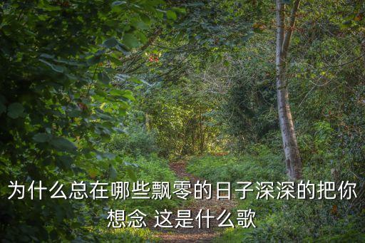 为什么总在那些飘雨的日子歌词，为什么总在哪些飘零的日子深深的把你想念 这是什么歌