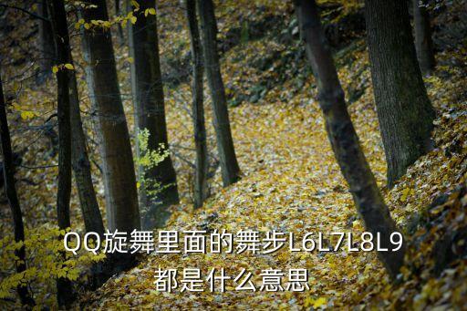 舞步16步是什么意思，QQ旋舞里面的舞步L6L7L8L9都是什么意思