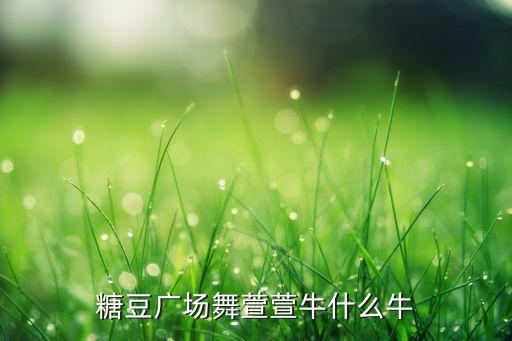 糖豆广场舞萱萱牛什么牛
