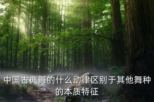 中国古典舞的什么动律区别于其他舞种的本质特征