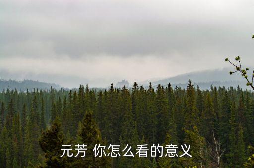 元芳 你怎么看的意义