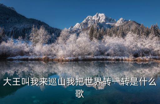 大王叫我来巡山我把世界转一转是什么歌