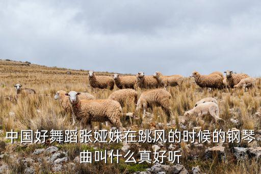 中国好舞蹈张娅姝在跳风的时候的钢琴曲叫什么真好听