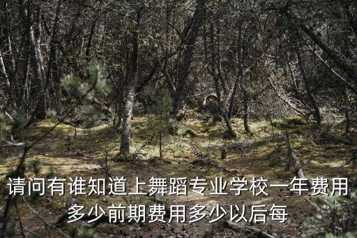 请问有谁知道上舞蹈专业学校一年费用多少前期费用多少以后每