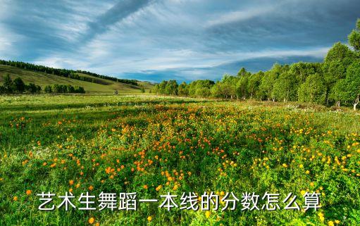 艺术生舞蹈一本线的分数怎么算