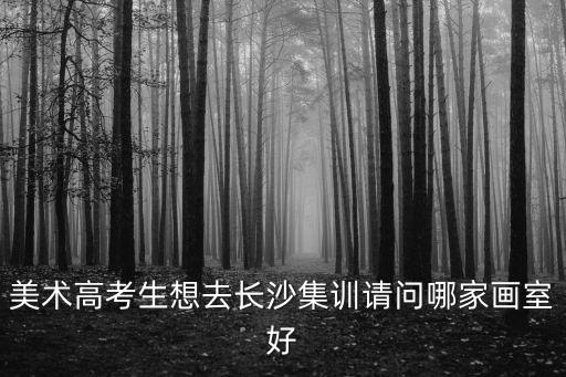 美术高考生想去长沙集训请问哪家画室好