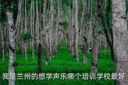 我是兰州的想学声乐哪个培训学校最好