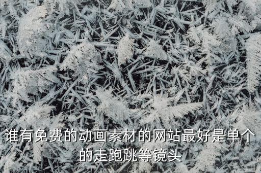 谁有免费的动画素材的网站最好是单个的走跑跳等镜头