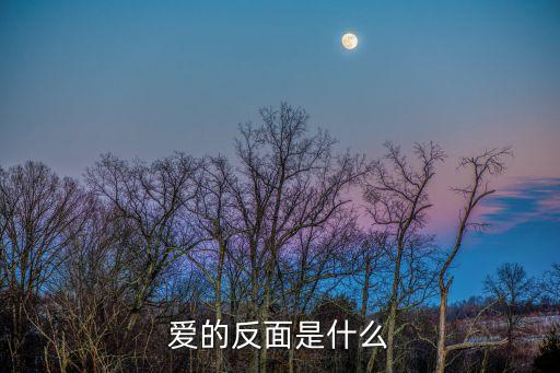 爰的反面是什么原因，爱的反面是什么