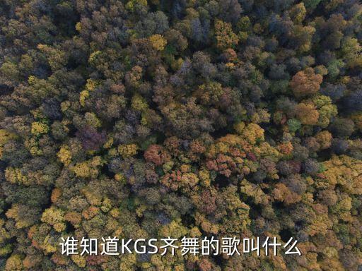 谁知道KGS齐舞的歌叫什么