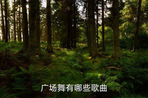 广场舞有哪些歌曲