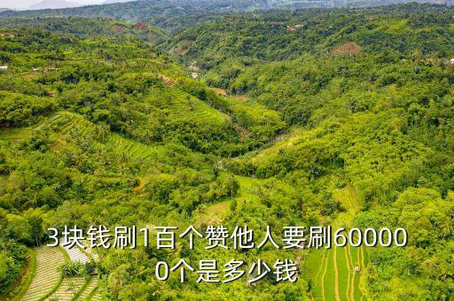 3块钱刷1百个赞他人要刷600000个是多少钱