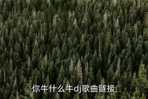 你牛什么牛dj歌曲链接