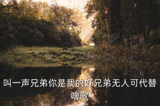 叫一声兄弟我的好兄弟是什么歌，叫一声兄弟你是我的好兄弟对酒当歌这是什么歌