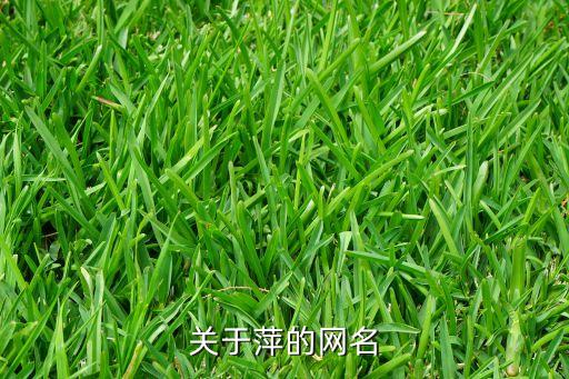 关于萍的网名
