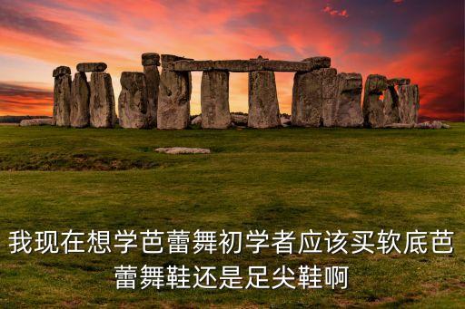 我现在想学芭蕾舞初学者应该买软底芭蕾舞鞋还是足尖鞋啊