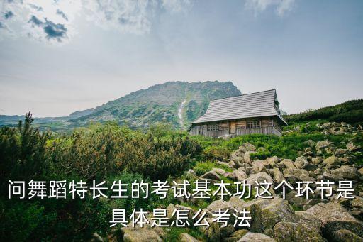 问舞蹈特长生的考试基本功这个环节是具体是怎么考法