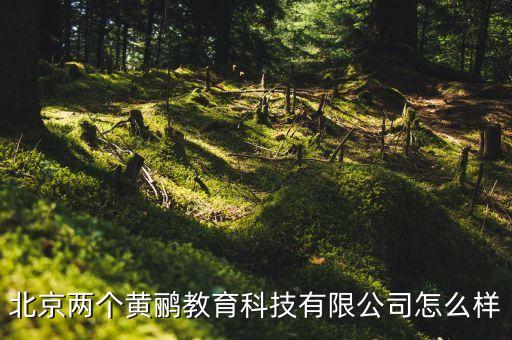两个黄鹂少儿口才加盟，少儿口才教育哪家最好