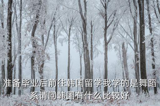 准备毕业后前往韩国留学我学的是舞蹈系请问韩国有什么比较好