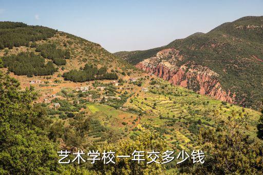 艺术学校一年交多少钱