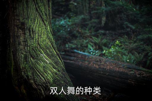 双人舞的种类