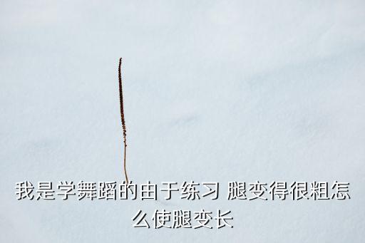 我是学舞蹈的由于练习 腿变得很粗怎么使腿变长