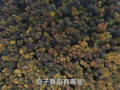 扇子舞蹈有哪些