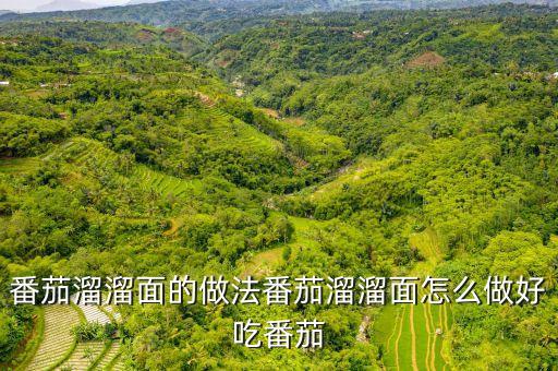 番茄溜溜面的做法番茄溜溜面怎么做好吃番茄