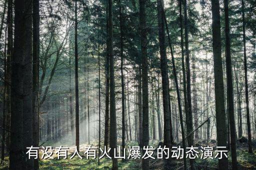 有没有人有火山爆发的动态演示