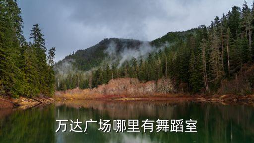 万达广场哪里有舞蹈室