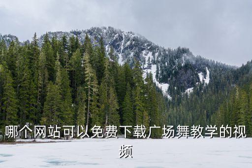 哪个网站可以免费下载广场舞教学的视频