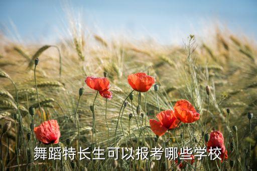 舞蹈特长生可以报考哪些学校