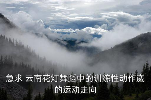 云南花灯的动作怎么写，云南花灯舞蹈的三道弯体态特征从哪些方面写论文