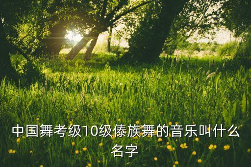 傣族脚组合音乐是什么，傣族舞蹈音乐是什么试听