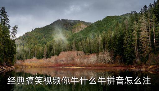 经典搞笑视频你牛什么牛拼音怎么注