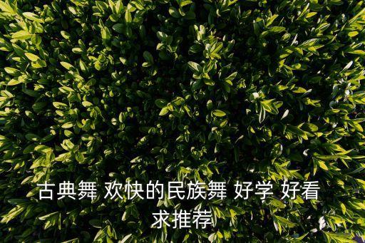 好看的舞蹈视频中国舞舞台版，古典舞 欢快的民族舞 好学 好看 求推荐