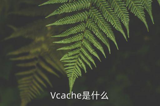 Vcache是什么