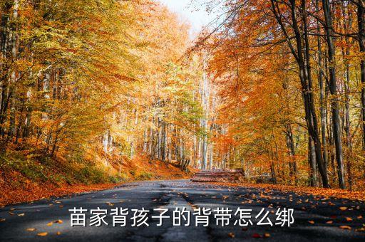 傣族背小孩的怎么用，苗家背孩子的背带怎么绑