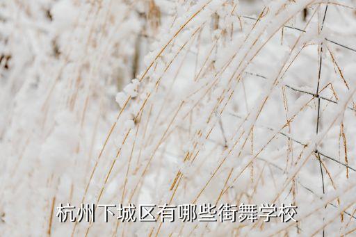 杭州下城区有哪些街舞学校