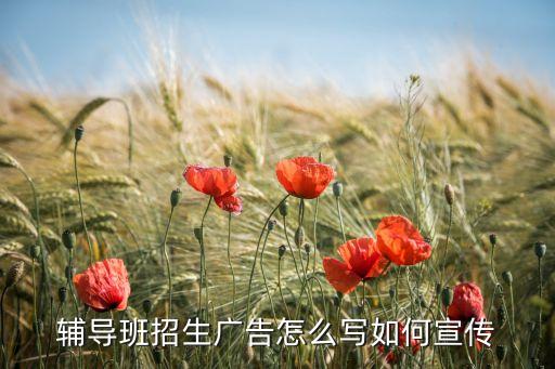 辅导班招生广告怎么写如何宣传