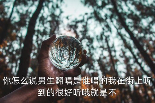 你怎么说原唱是谁，你怎么说原唱是邓丽君吗